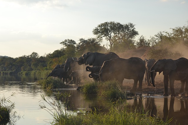 vuyani-safari-lodge