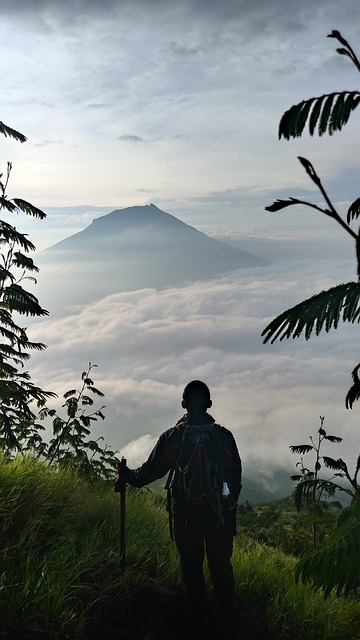 mountain