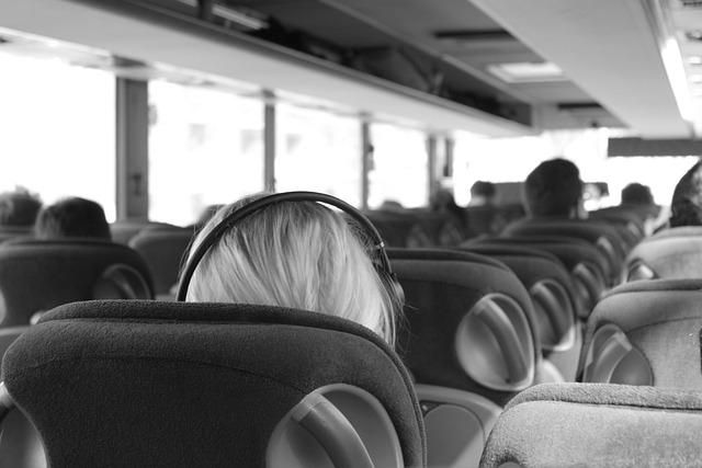 bus-ticket-format